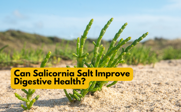 Can Salicornia Salt Improve Digestive Health?