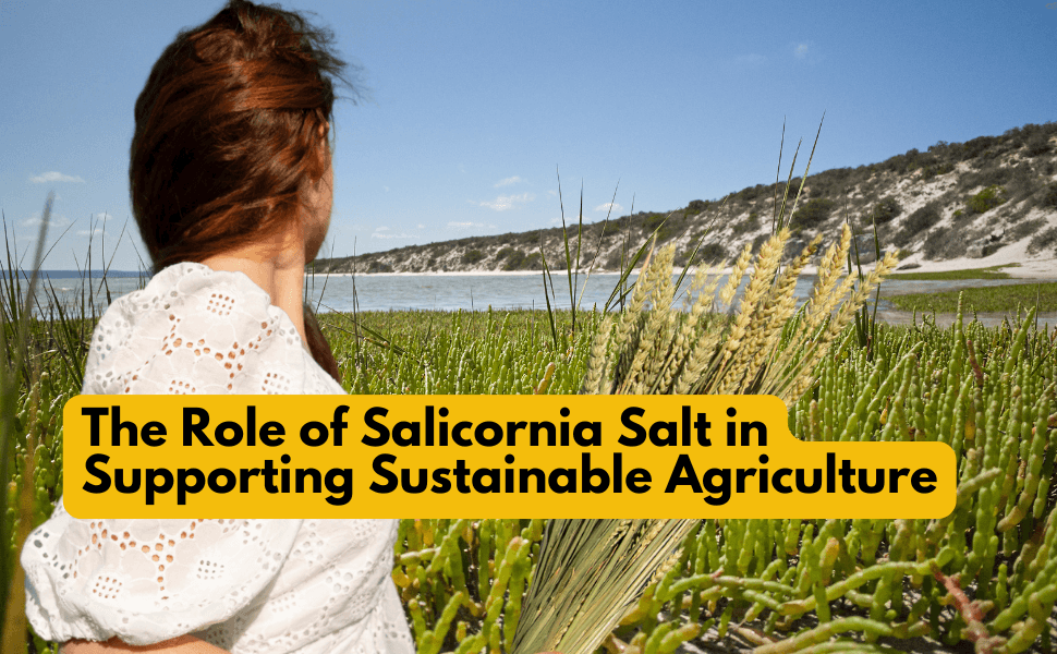 The Role of Salicornia Salt in Supporting Sustainable Agriculture