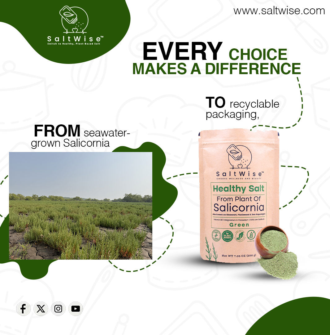 SaltWise Doubles Down on Sustainability This Earth Day, Offering a Cleaner, Greener Alternative to Traditional Salt