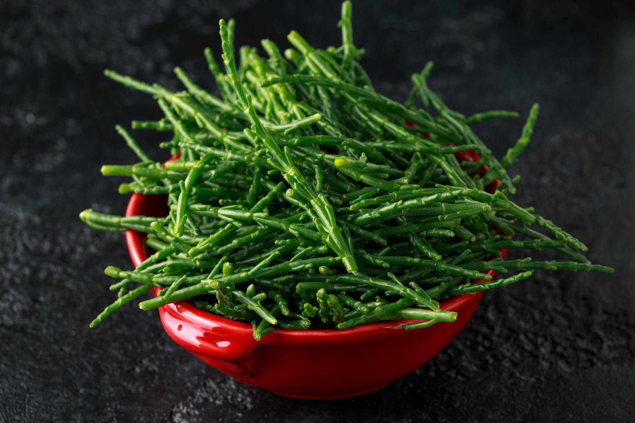 Benefits of Salicornia