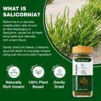 SaltWise Salicornia Flakes, Umami Herb, Dried Sea Asparagus (Samphire, Sea Beans), 40g