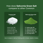 Green Salt – Plant-Based, Low Sodium Salicornia Salt ( 7.05 Oz / 200g)