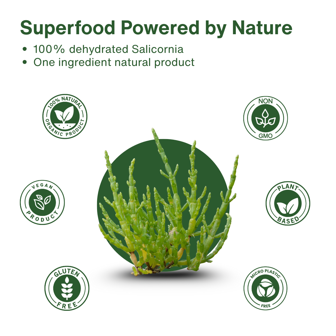 Green Salt – Plant-Based, Low Sodium Salicornia Salt ( 7.05 Oz / 200g)