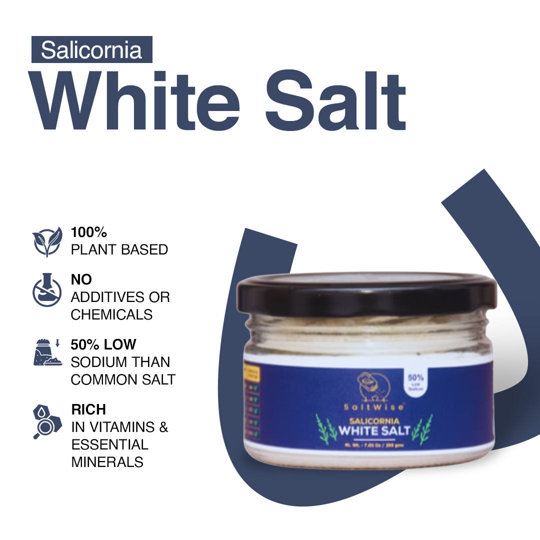 Salicornia White Salt – Premium Jar Set