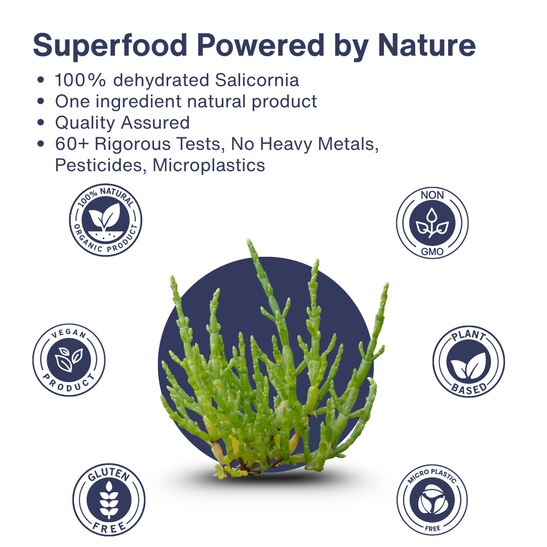 Salicornia White Salt – Premium Jar Set