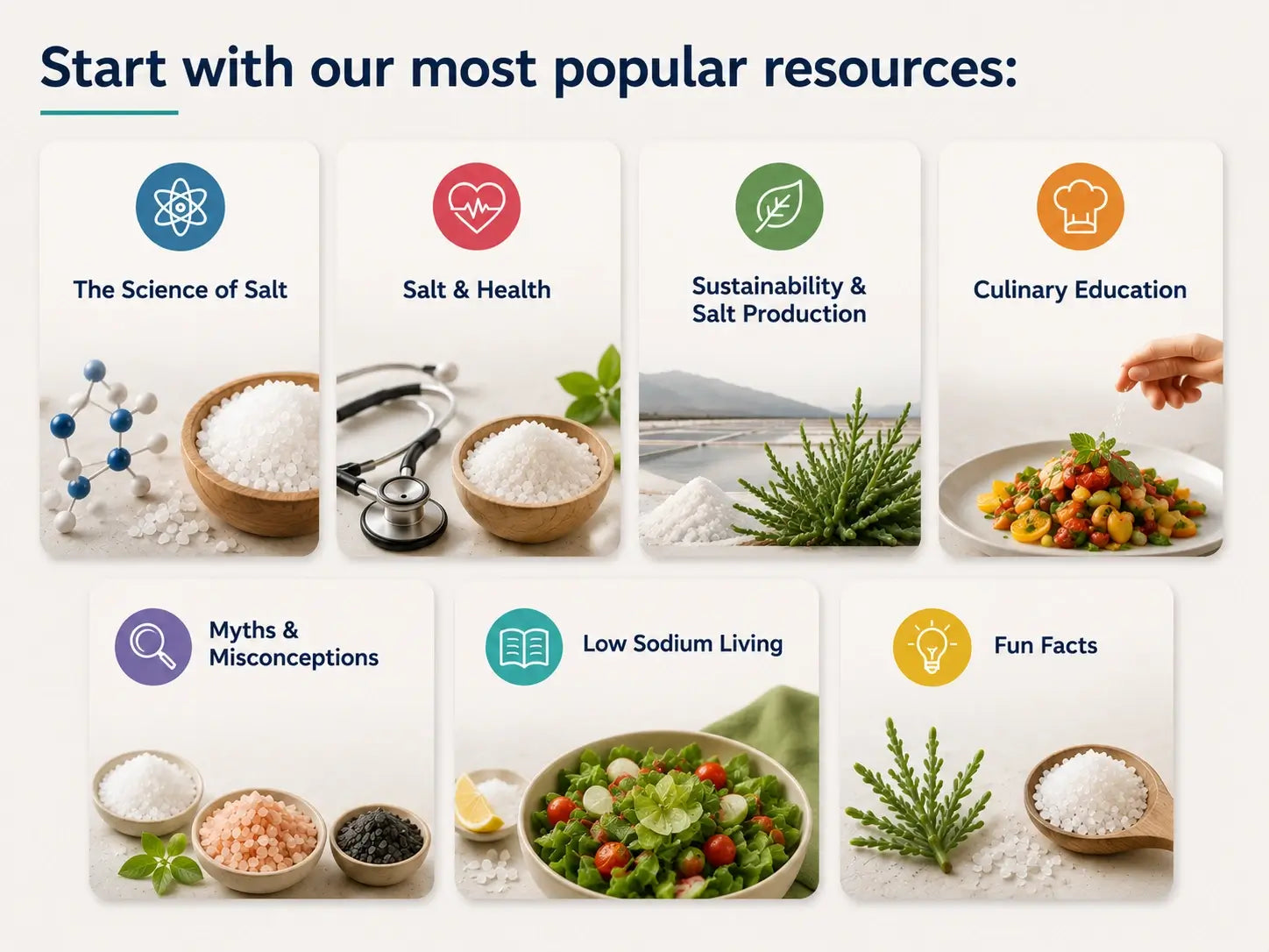 Start with our most popular resources