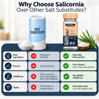 SaltWise Salicornia White Salt – Low Sodium Salt Alternative Premium Jar Set