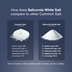 Salicornia White Salt – Premium Jar Set