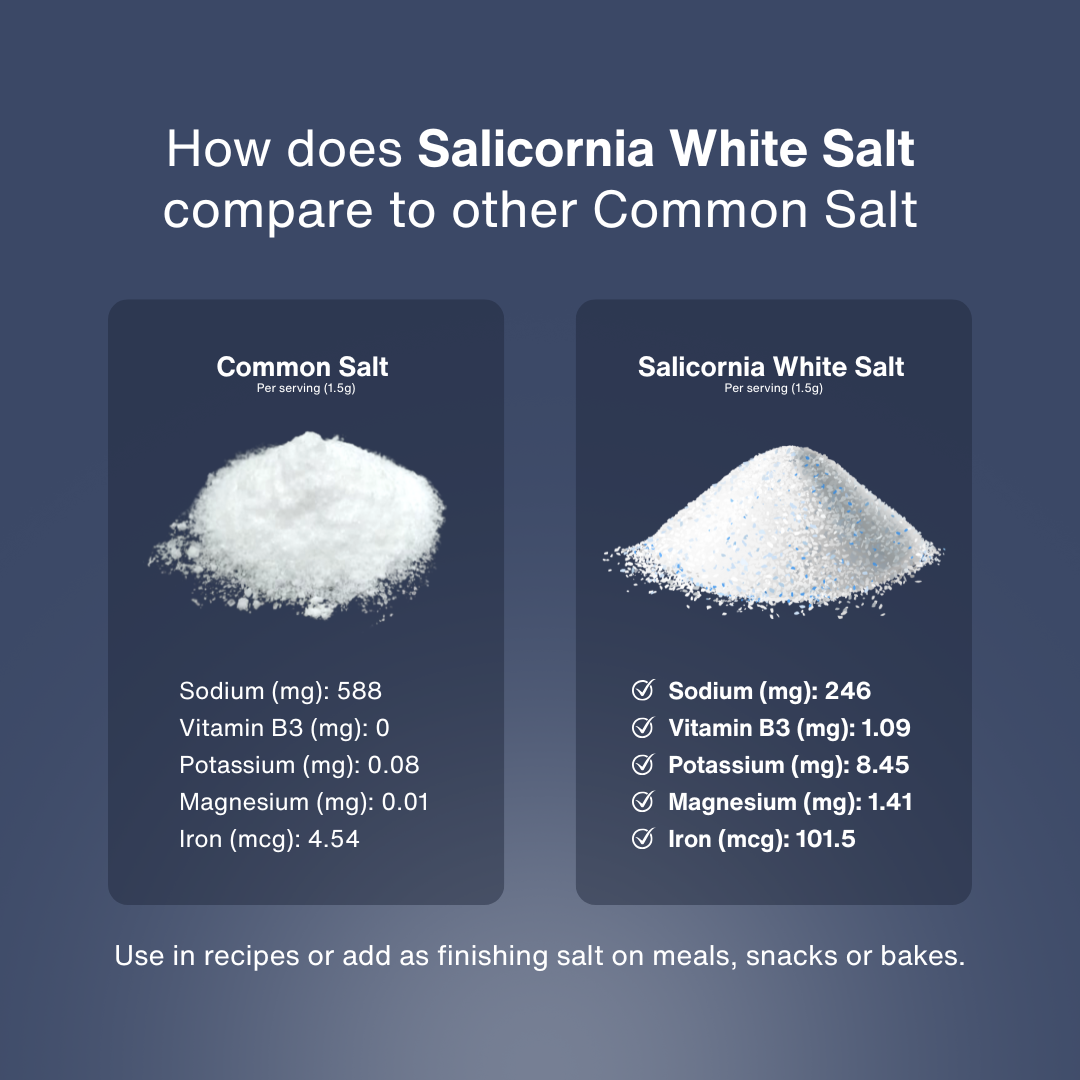 Salicornia White Salt – Premium Jar Set