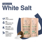 Salicornia White Salt -Pack of 2