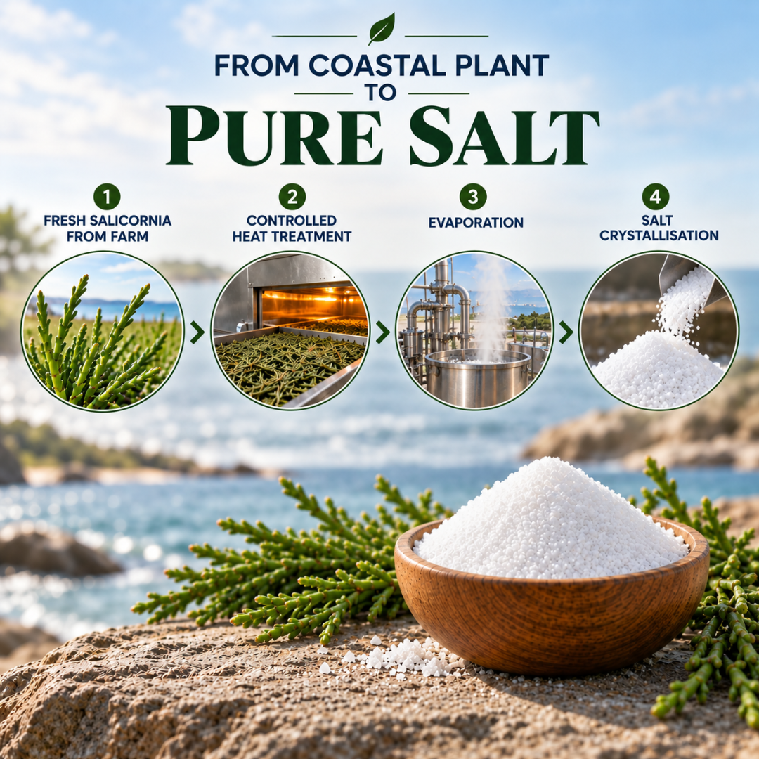 Salicornia White Salt – Plant-Based & Low Sodium Salt Substitute