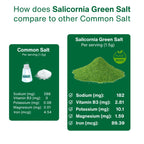 Green Salt- Pack of 2