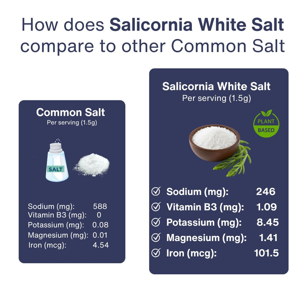 Salicornia White Salt | Healthy Salt Substitute – SaltWise