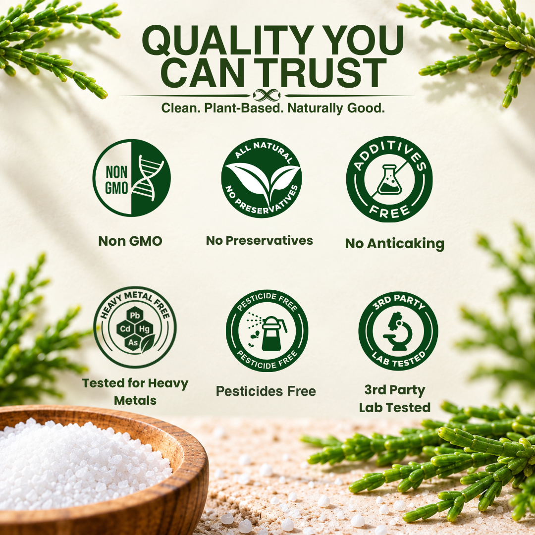 Salicornia White Salt – Plant-Based & Low Sodium Salt Substitute
