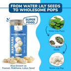 SaltWise Water Lily Pops (Foxnuts/Makhana)-Classic Salted | Protein-Rich Healthy Snacks