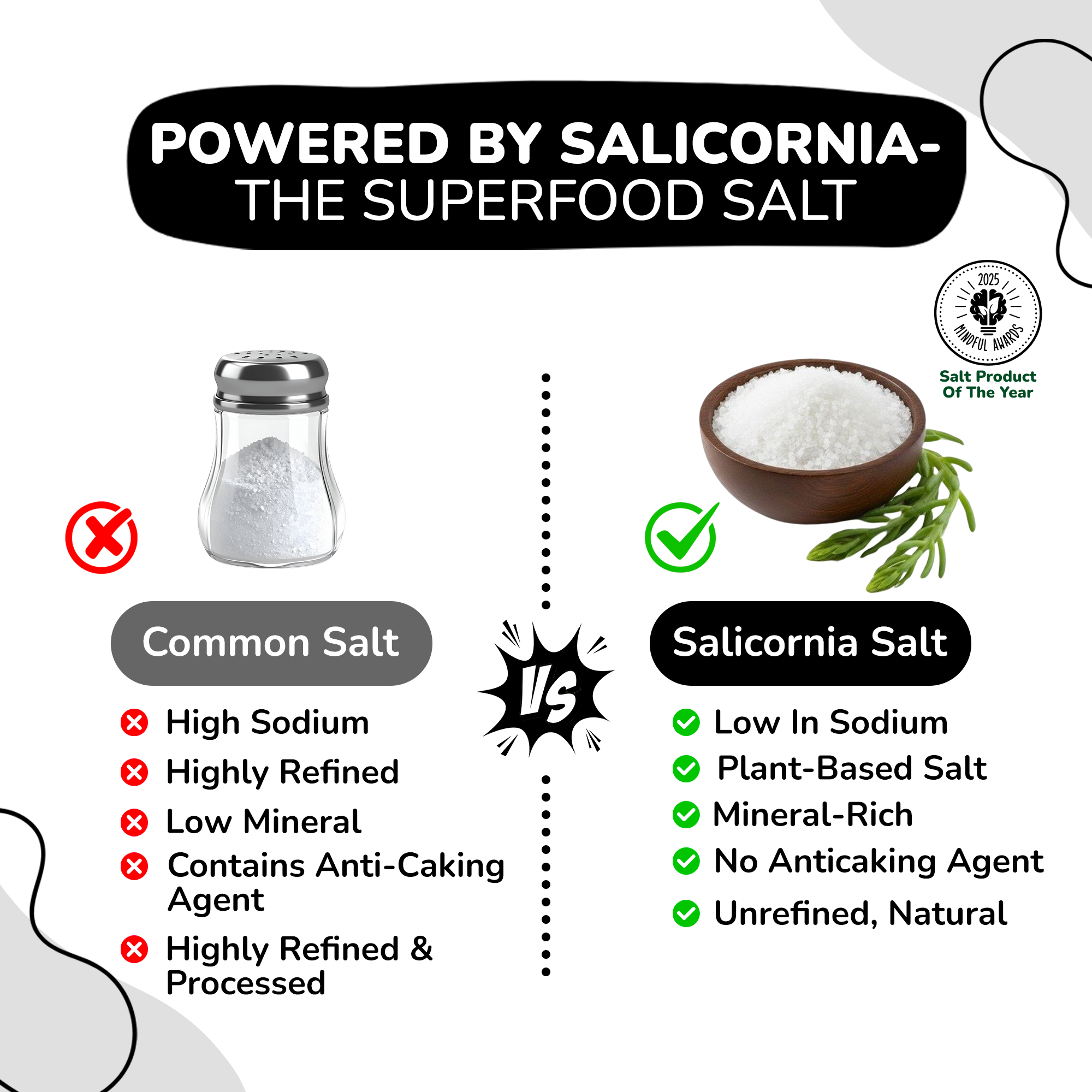 Low Sodium BBQ Seasoning – Made with Salicornia Salt | No MSG | Non GMO