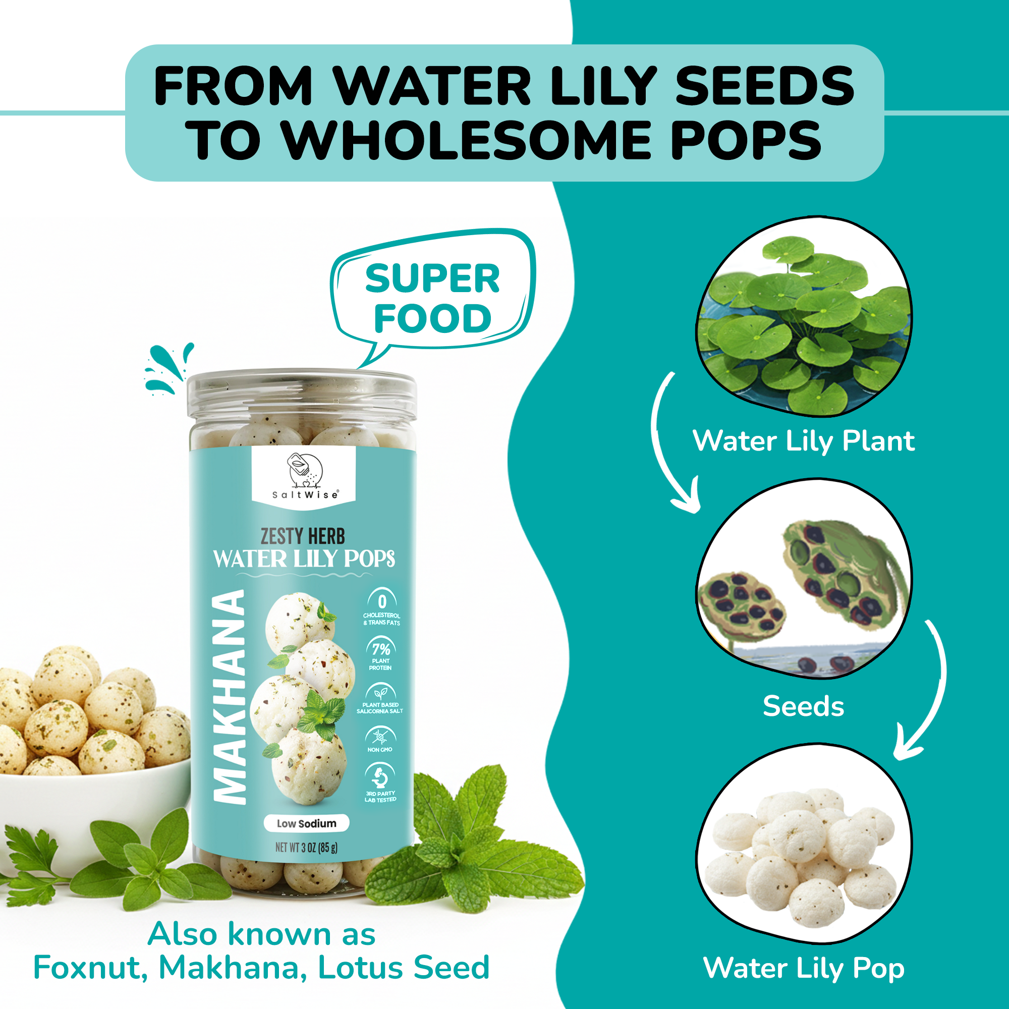 SaltWise Water Lily Pops (Foxnuts/Makhana)-Zesty Herbs