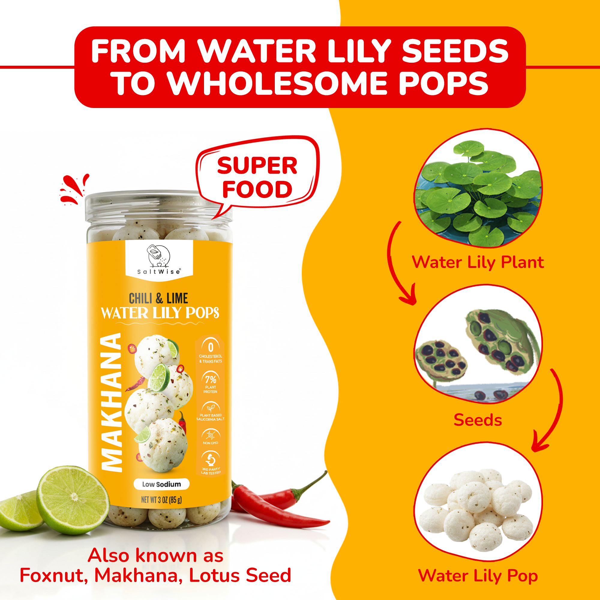SaltWise Water Lily Pops (Foxnuts/Makhana) - Variety Pack (4 Flavors) | Low Sodium Plant Protein