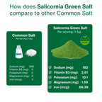 Green Salt – Plant-Based, Low Sodium Salicornia Salt ( 7.05 Oz / 200g)