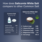 Salicornia White Salt -Pack of 2