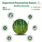 Salicornia White Salt – Premium Jar Set