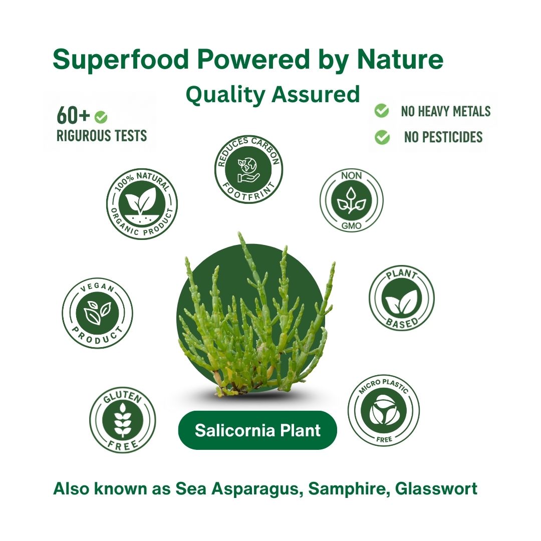 Salicornia Salt Gift Set – Green & White Plant Based Salts