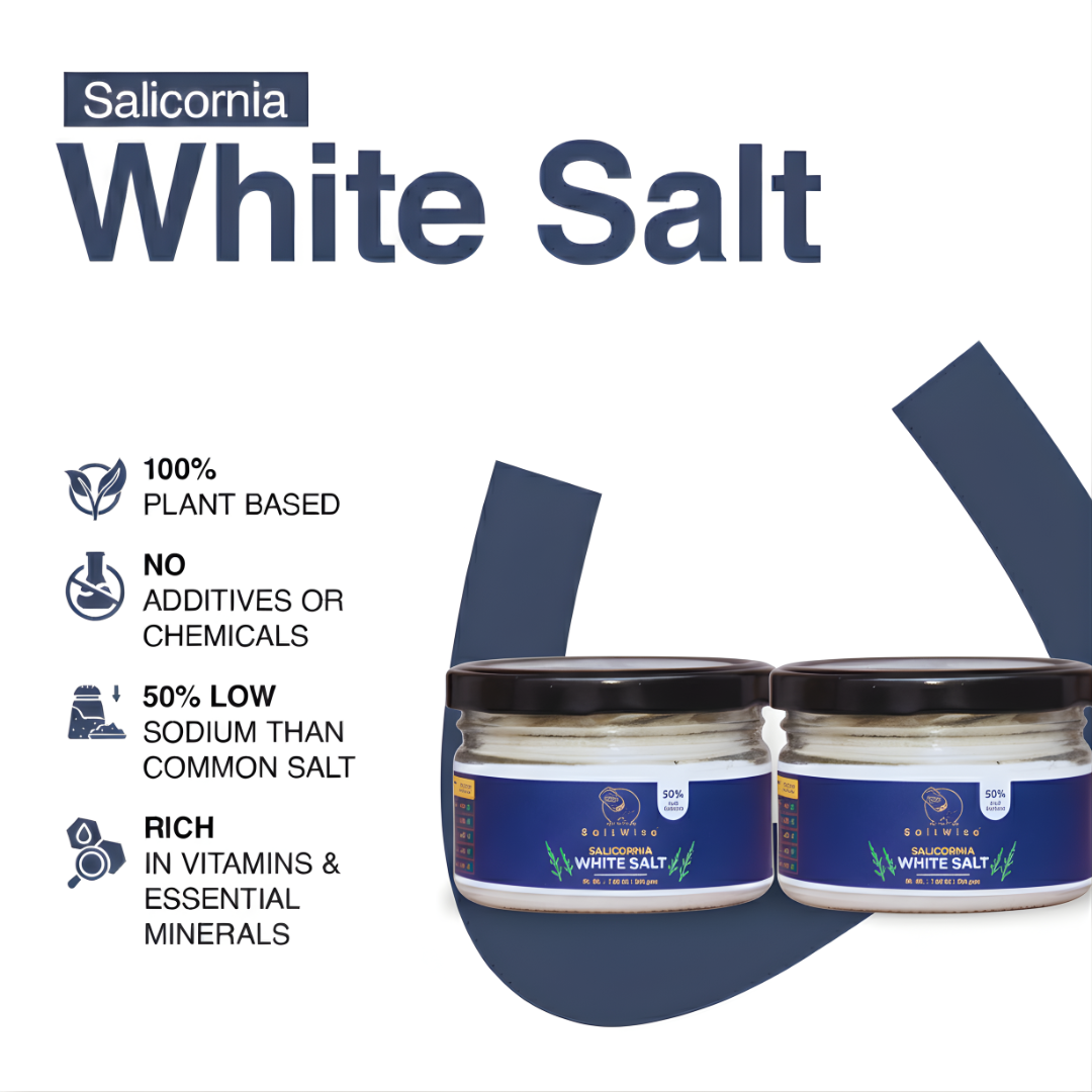 Salicornia White Salt – Premium Jar Set