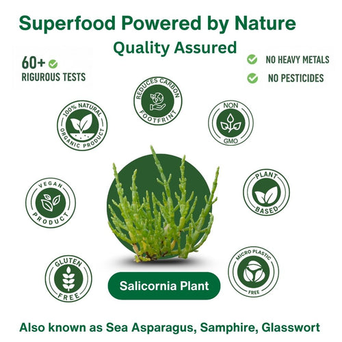 Salicornia White Salt – Low Sodium Salt Substitute, Premium Glass Jar, 4.5 Oz
