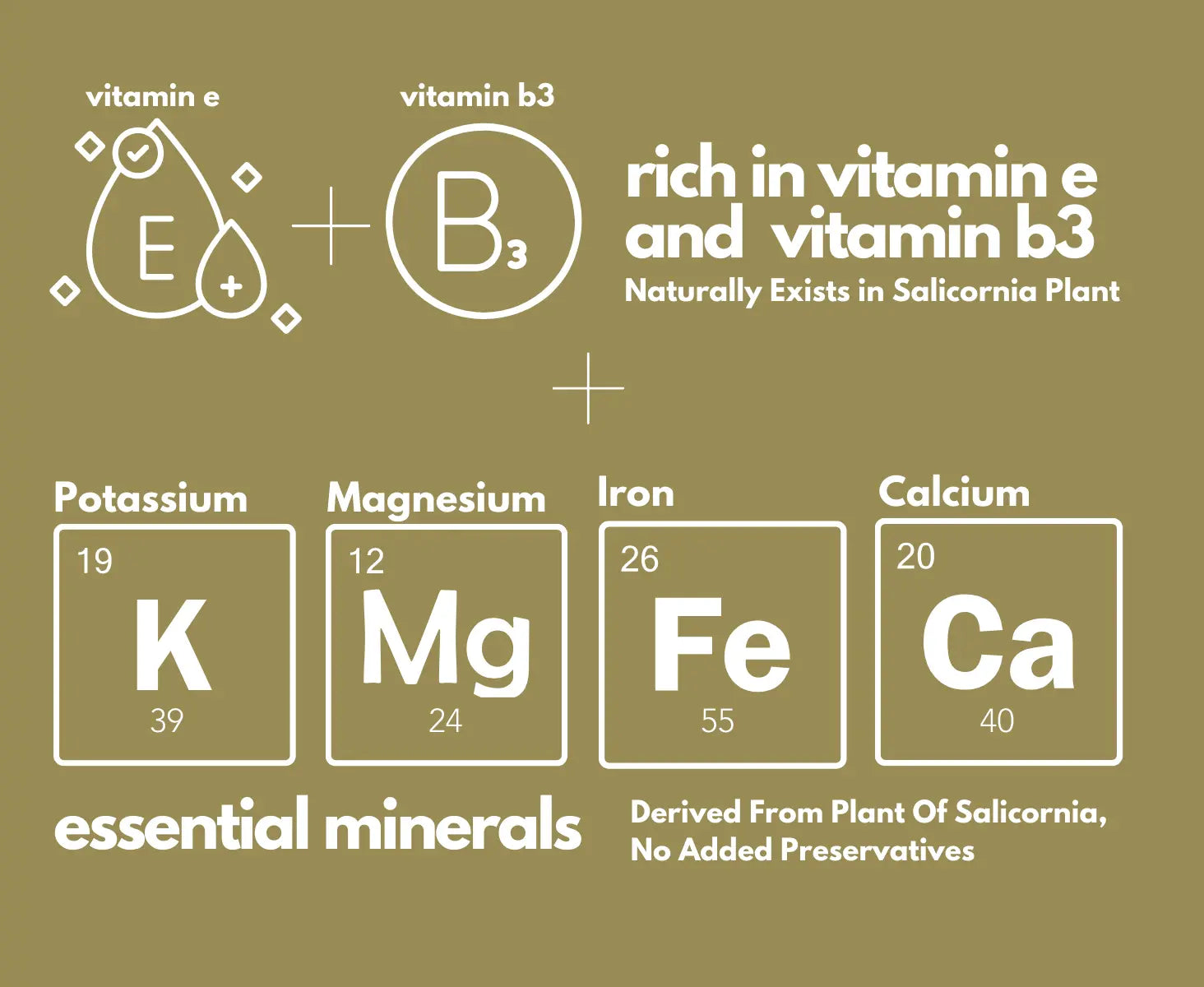 Rich in Vitamin E