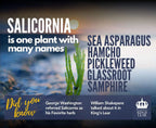SaltWise Salicornia Salts - Trial Packs/Sample (30gms)