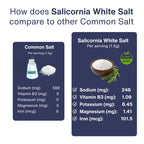SaltWise Salicornia Salts - Trial Packs/Sample (30gms)